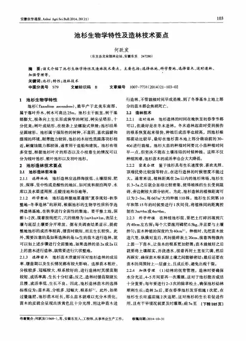 池杉生物学特性及造林技术要点