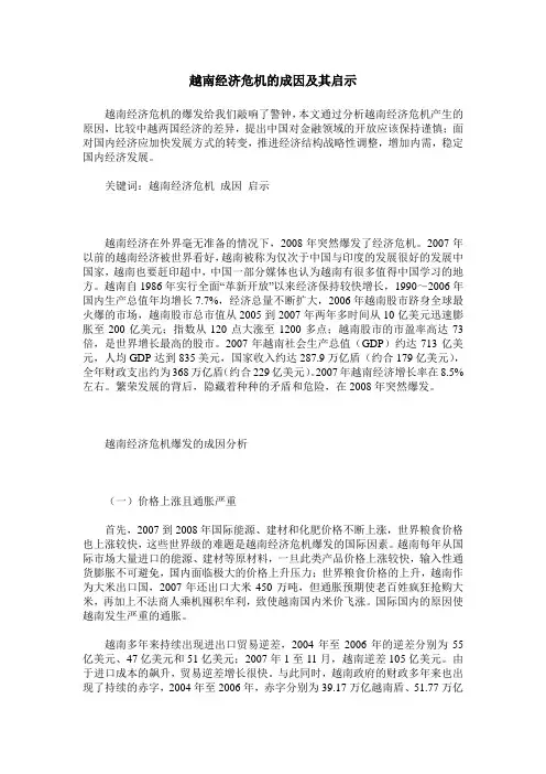越南经济危机的成因及其启示