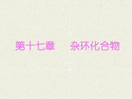 17 杂环化合物