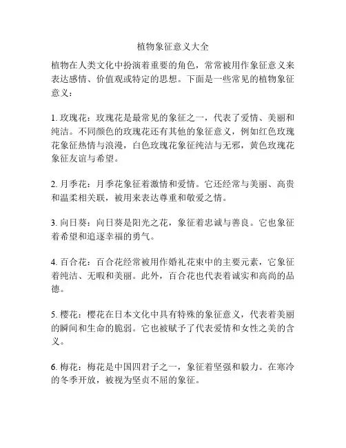 植物象征意义大全