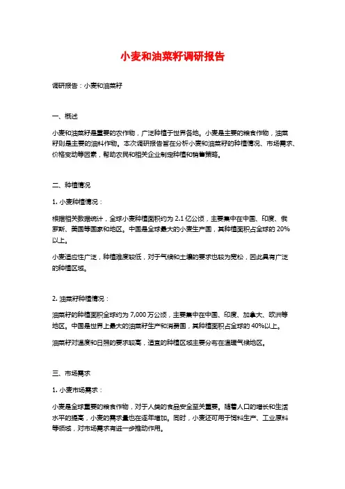 小麦和油菜籽调研报告