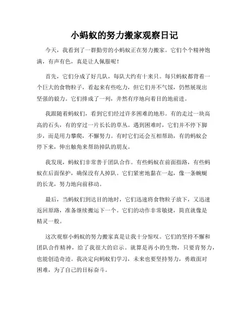  小学三年级作文小蚂蚁的努力搬家观察日记