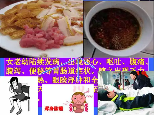 旋毛虫
