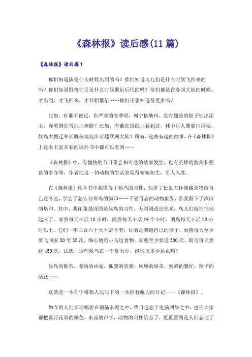 《森林报》读后感(11篇)