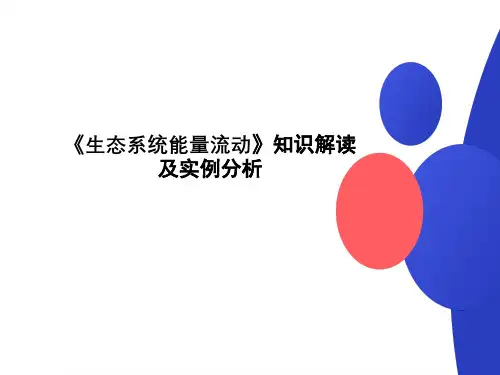高三生物一轮复习课件生态系统能量流动知识解读级实例分析