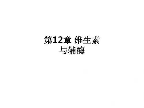 第12章 维生素与辅酶ppt课件
