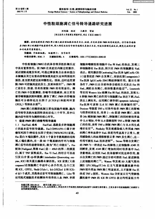 中性粒细胞凋亡信号转导通路研究进展