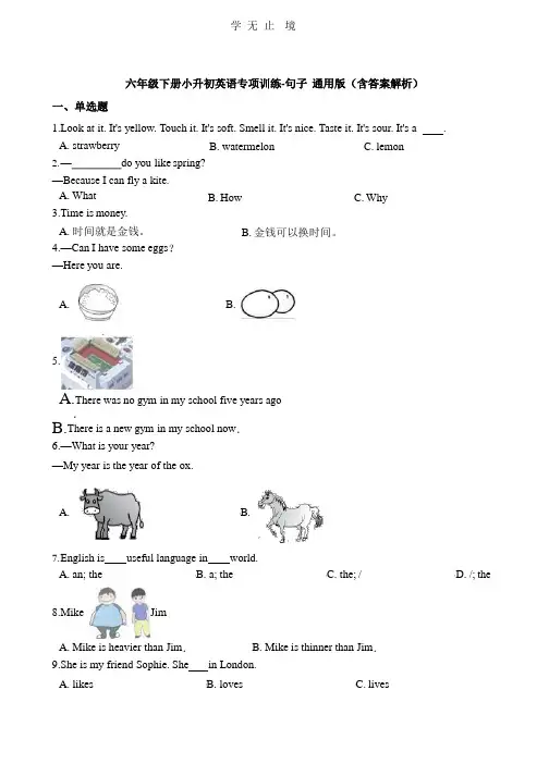六年级下册英语试题-小升初专项训练之句子 通用版(含答案解析).pptx
