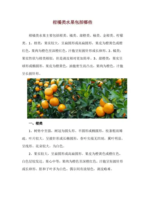 柑橘类水果包括哪些