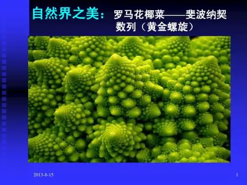 2012年新的公文格式要求