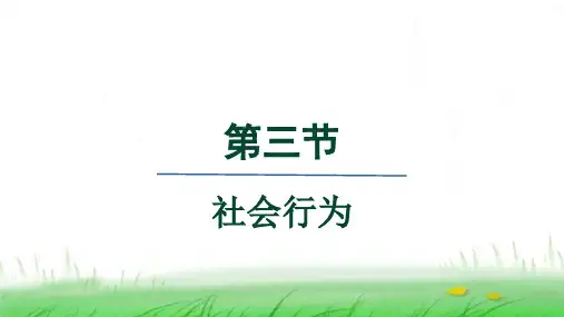 人教版八年级生物上册第五单元第二章第三节社会行为课件
