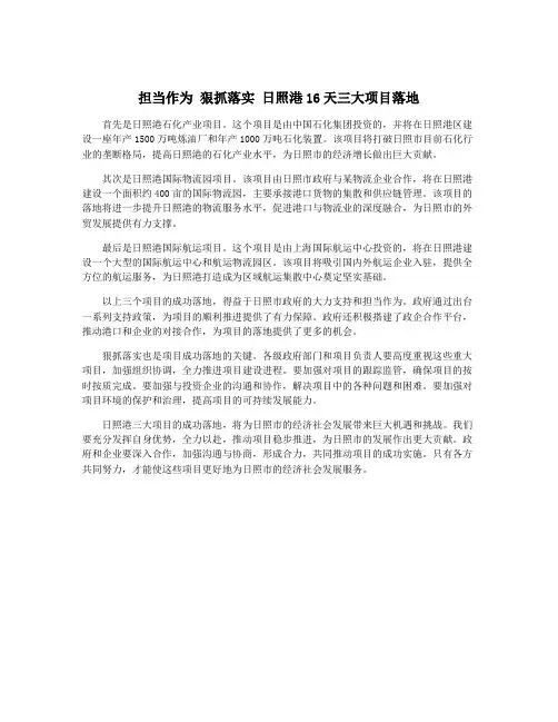 担当作为 狠抓落实 日照港16天三大项目落地