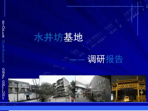 水井坊调研报告