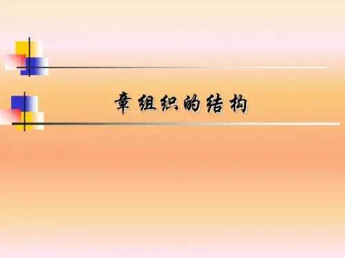 组织的结构培训课件(PPT37张)