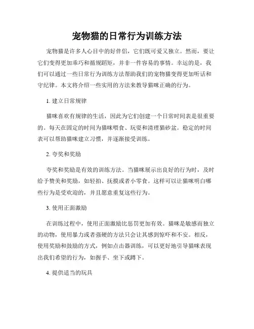宠物猫的日常行为训练方法