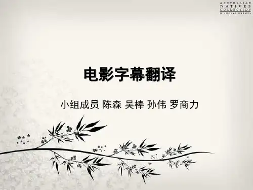 电影字幕翻译 完整版分解