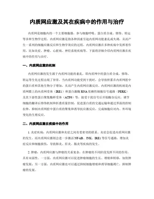 内质网应激及其在疾病中的作用与治疗