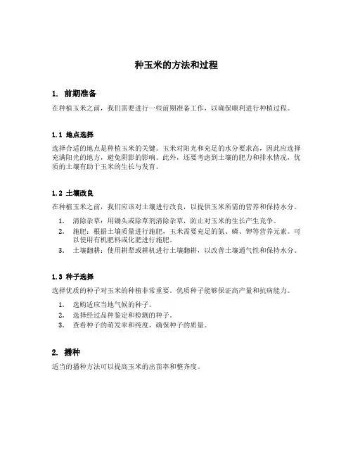 种玉米的方法和过程