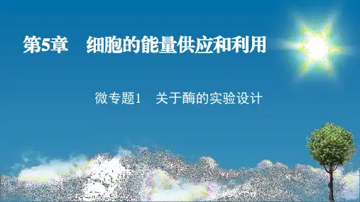 人教版高中生物必修第1册 微专题1 关于酶的实验设计