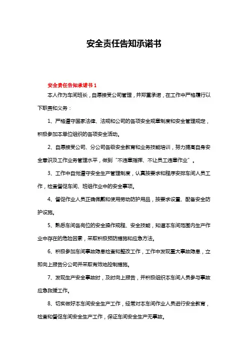 安全责任告知承诺书(通用5篇)