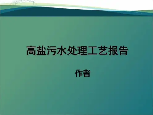 高盐水处理工艺及装置设计_2023年学习资料