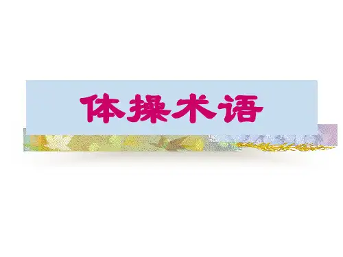 《体操术语》PPT课件