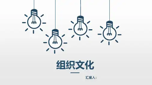 组织文化(PPT35页)