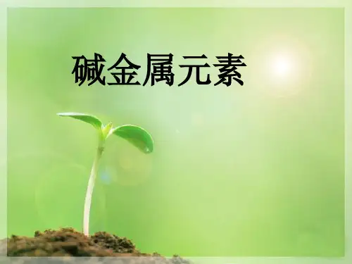碱金属元素 PPT课件6 人教课标版