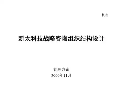 科技战略咨询组织结构设计ppt讲义