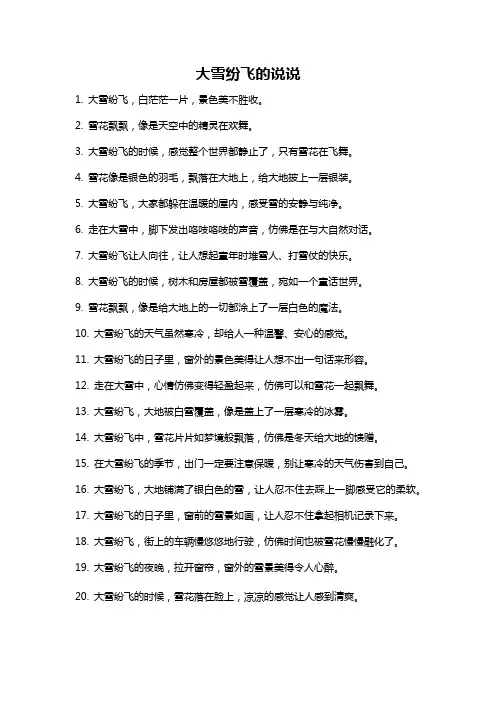 大雪纷飞的说说