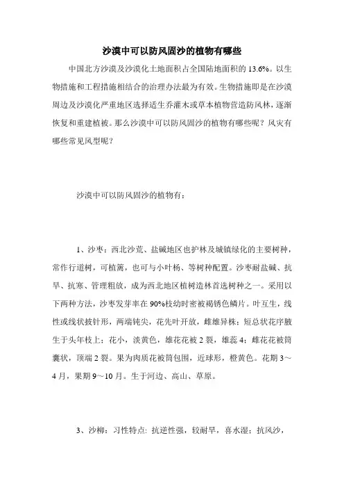 沙漠中可以防风固沙的植物有哪些