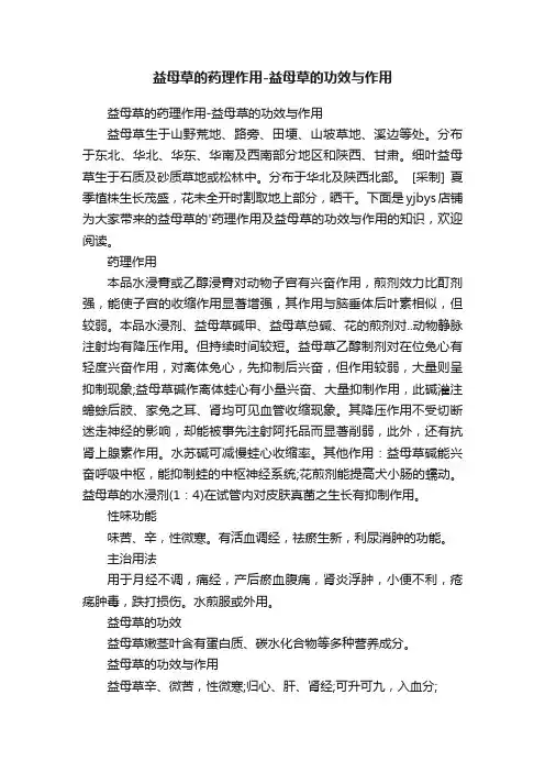 益母草的药理作用-益母草的功效与作用