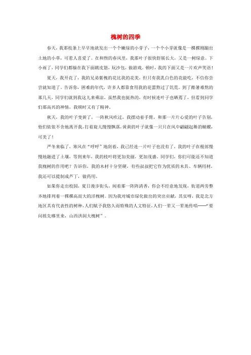 三年级语文上册第一组4《槐乡的孩子》槐树的四季相关阅读素材新人教版