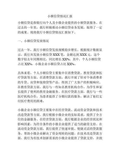 小额信贷情况汇报