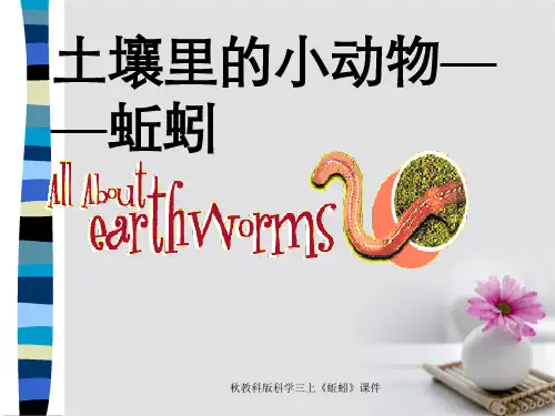 秋教科版科学三上《蚯蚓》课件