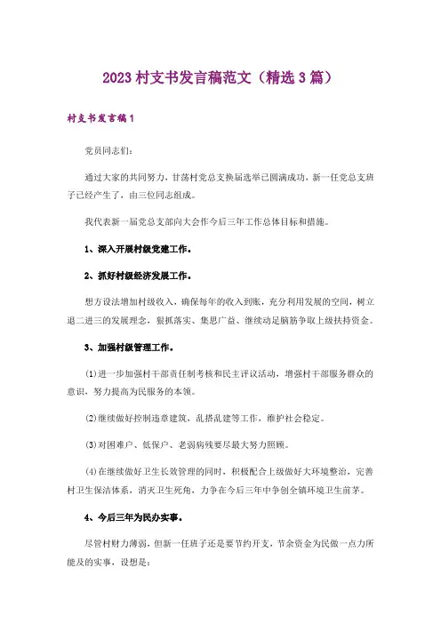 2023村支书发言稿范文(精选3篇)
