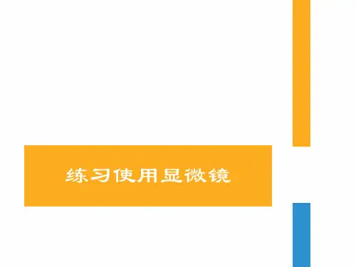 第一节练习使用显微镜课件 人教版生物七年级上册