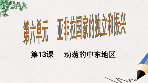 九年级历史下册第13课动荡的中东地区课件新人教版