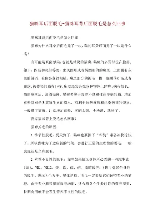 猫咪耳后面脱毛-猫咪耳背后面脱毛是怎么回事