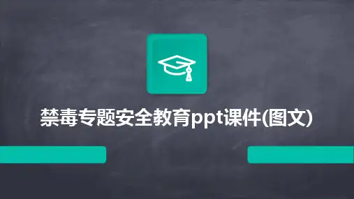 禁毒专题安全教育ppt课件(图文)