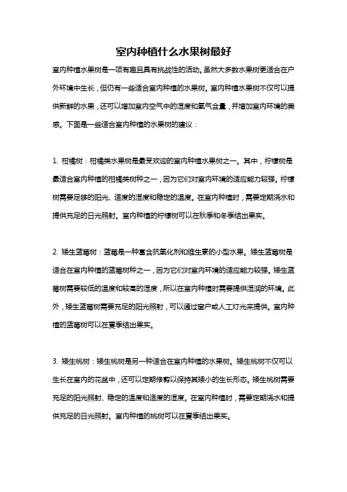 室内种植什么水果树最好