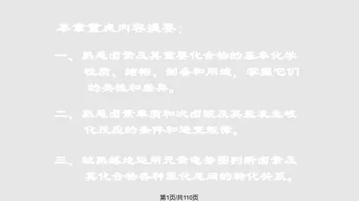 无机化学卤素PPT课件