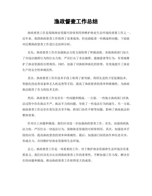 渔政督查工作总结
