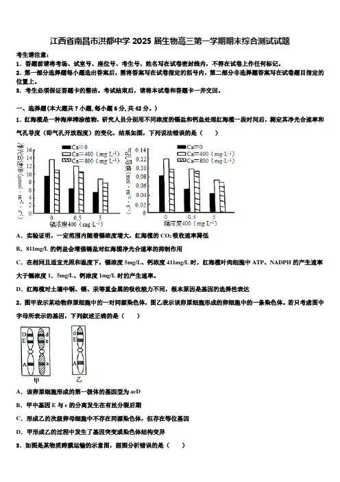 江西省南昌市洪都中学2025届生物高三第一学期期末综合测试试题含解析