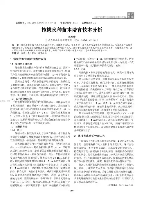 核桃良种苗木培育技术分析