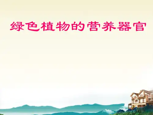 八年级科学上册 6.1 绿色植物的营养器官课件 华东师大版