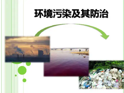 《环境污染及其防治》PPT课件