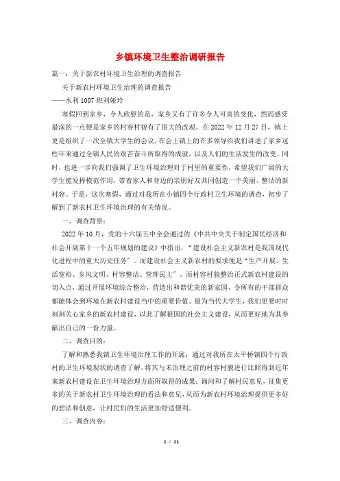 乡镇环境卫生整治调研报告