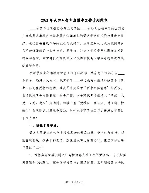 2024年大学生青年志愿者工作计划范本(五篇)