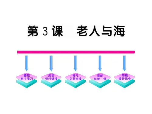3第3课《老人与海》(人教版)